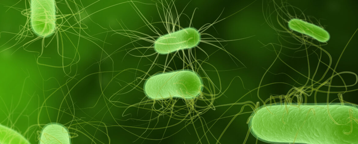 E.,Coli E.,Coli