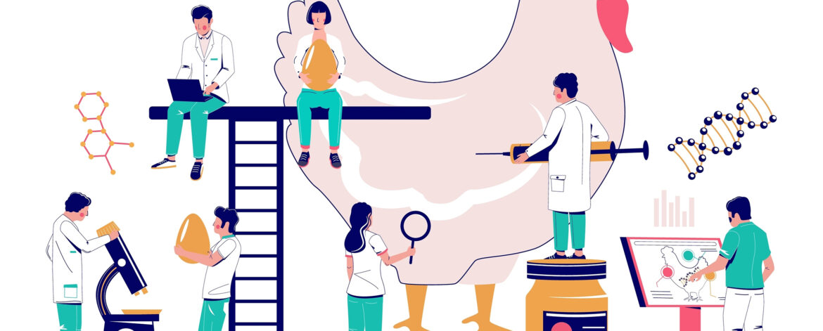 Chicken,Antibiotic,Vector.,Scientist,And,Doctor,Veterinarian,Making,Test,And Chicken,Antibiotic,Vector.,Scientist,And,Doctor,Veterinarian,Making,Test,And